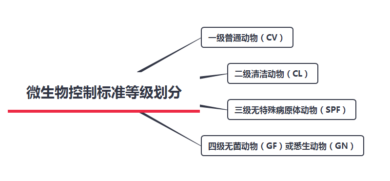 动物实验室规划需要知道的微生物控制标准等级划分